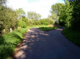 Rheinaue