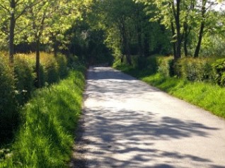 Rheinaue