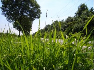 Testfoto