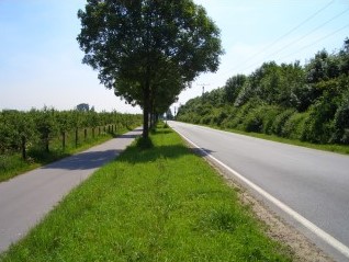 Testfoto